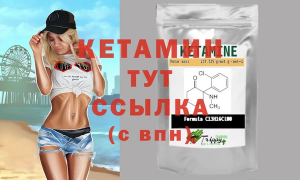 крисы Алексин