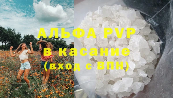 крисы Алексин