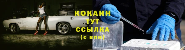 СК Алзамай