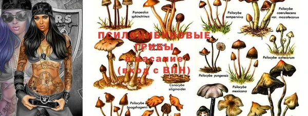 дживик Алексеевка