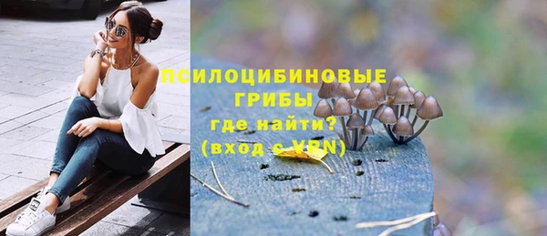 крисы Алексин