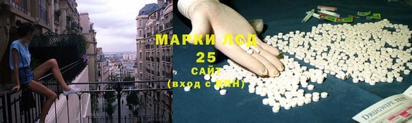 крисы Алексин