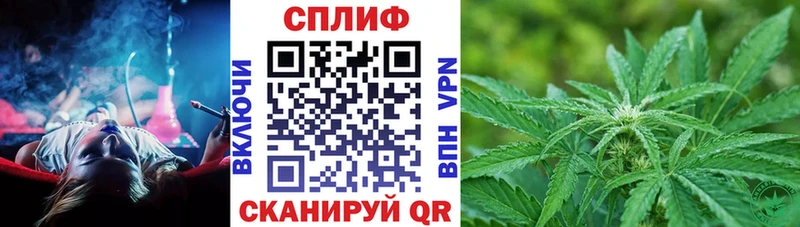где купить   Лысьва  Марихуана гибрид 